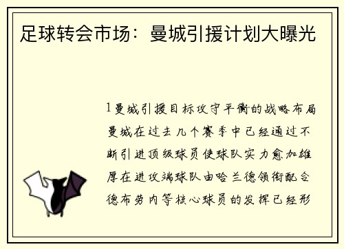 足球转会市场：曼城引援计划大曝光